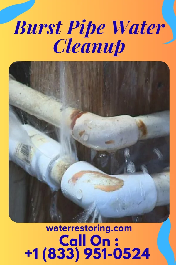 Burst Pipe Water Cleanup in Park Forest, IL