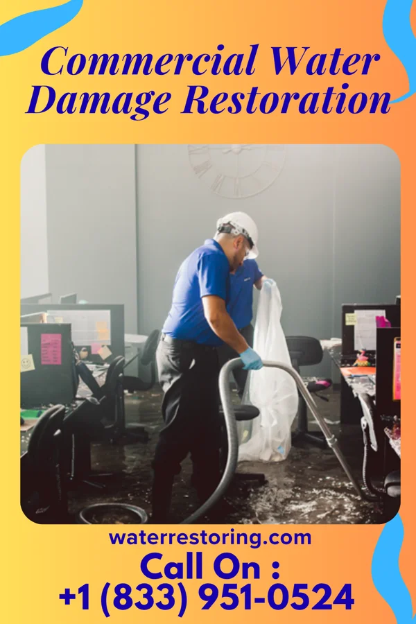 Commercial Water Damage Restoration in Park Forest, IL