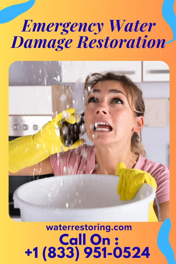 Emergency Water Damage Restoration in Park Forest, IL