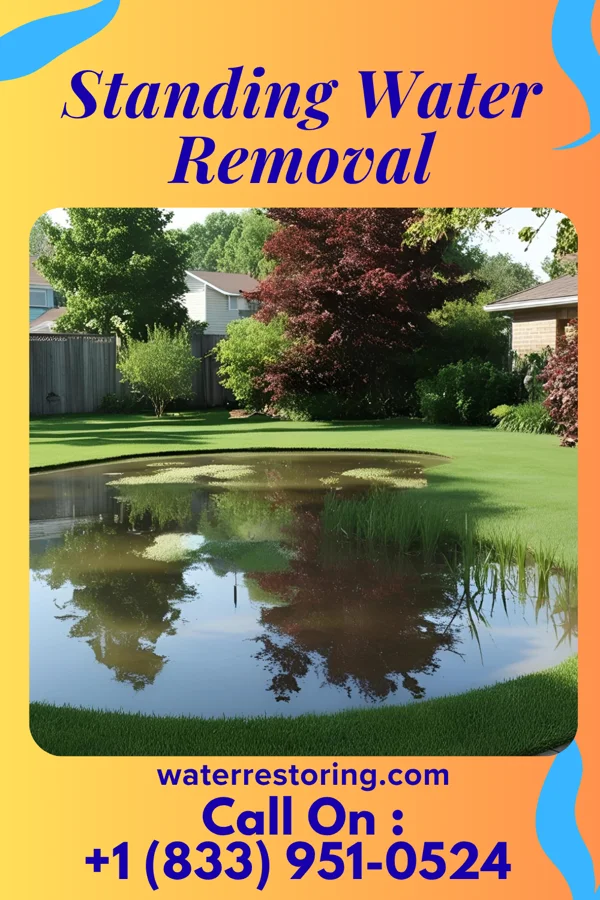 Standing Water Removal in Park Forest, IL